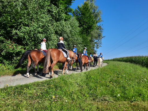 Balade à poney ou cheval