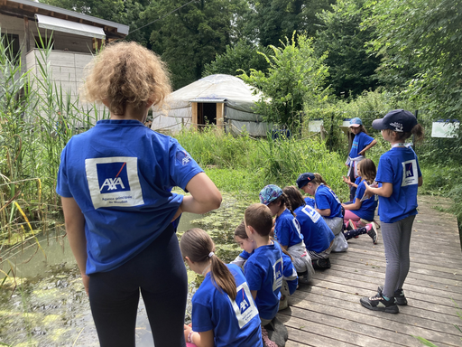 Les experts de la forêt